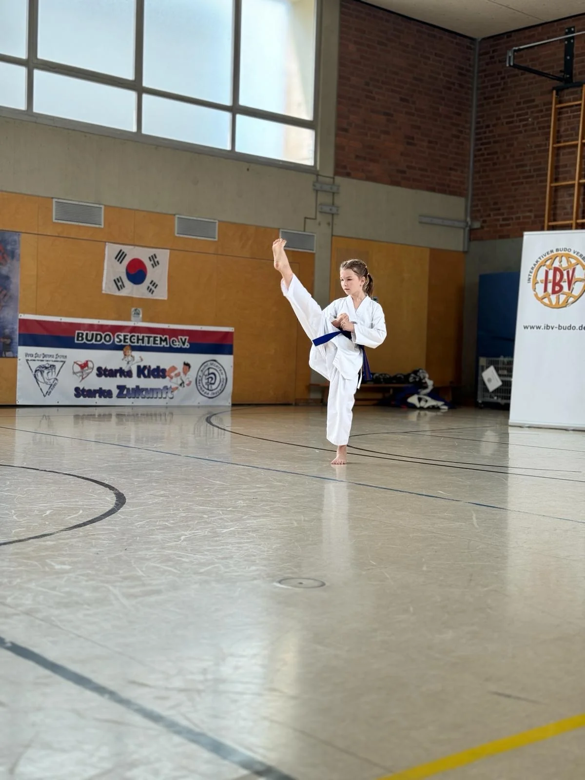 Budo Sechtem-Prüfung-Taekwondo-Juni-2024-Bornheim-Bild3