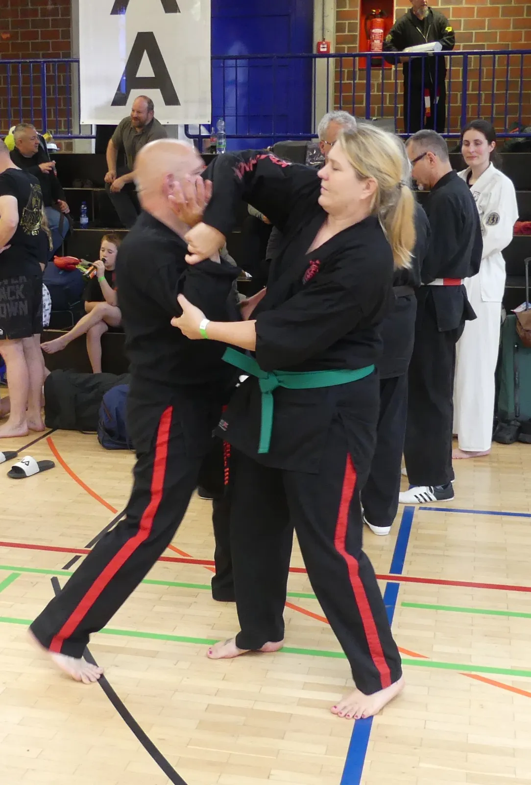Lehrgang-Budo-Sechtem-MAA I Day-Wulfen-Mai-2025-BIld 2