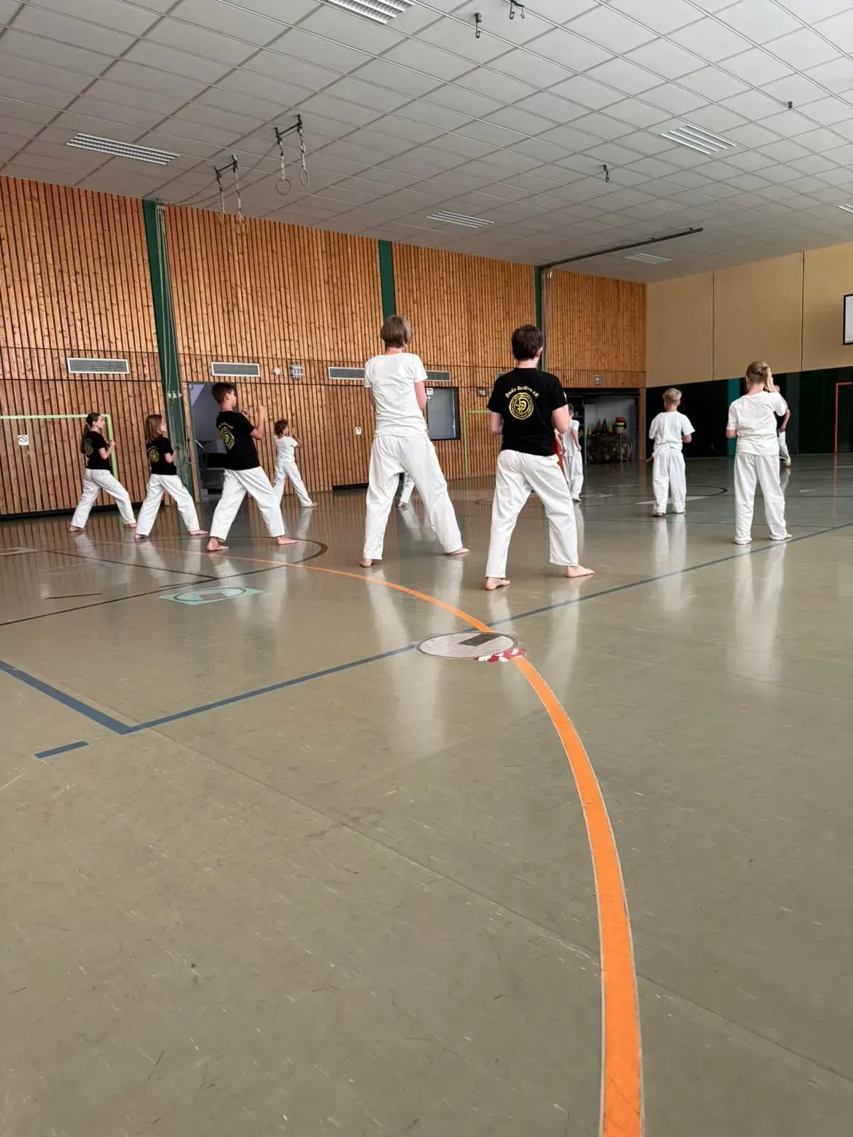 Lehrgang-Taekwondo-Budo-Sechtem-Juni-2025-Bornheim-Bild 1