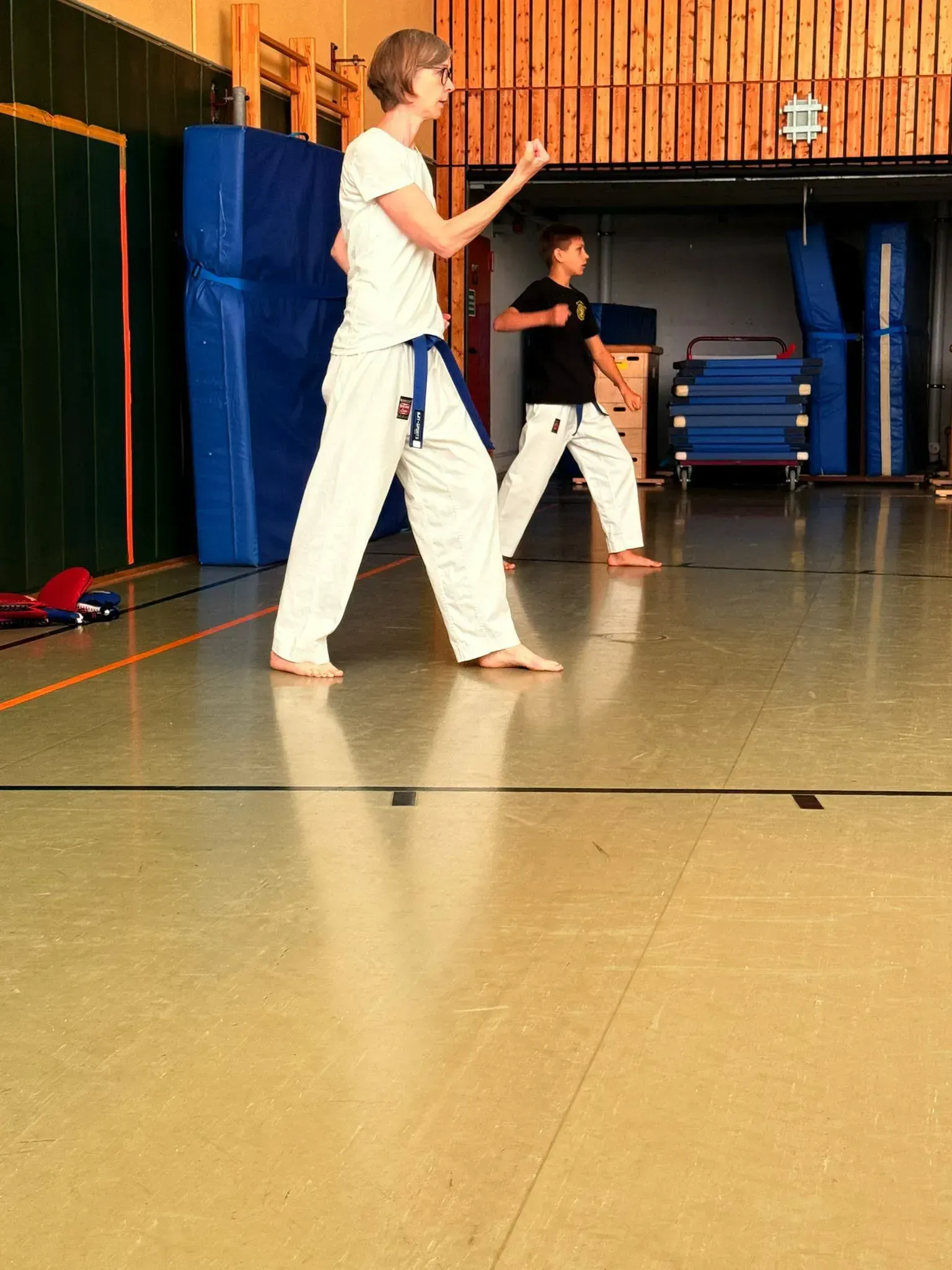 Lehrgang-Taekwondo-Budo-Sechtem-Juni-2025-Bornheim-Bild 3