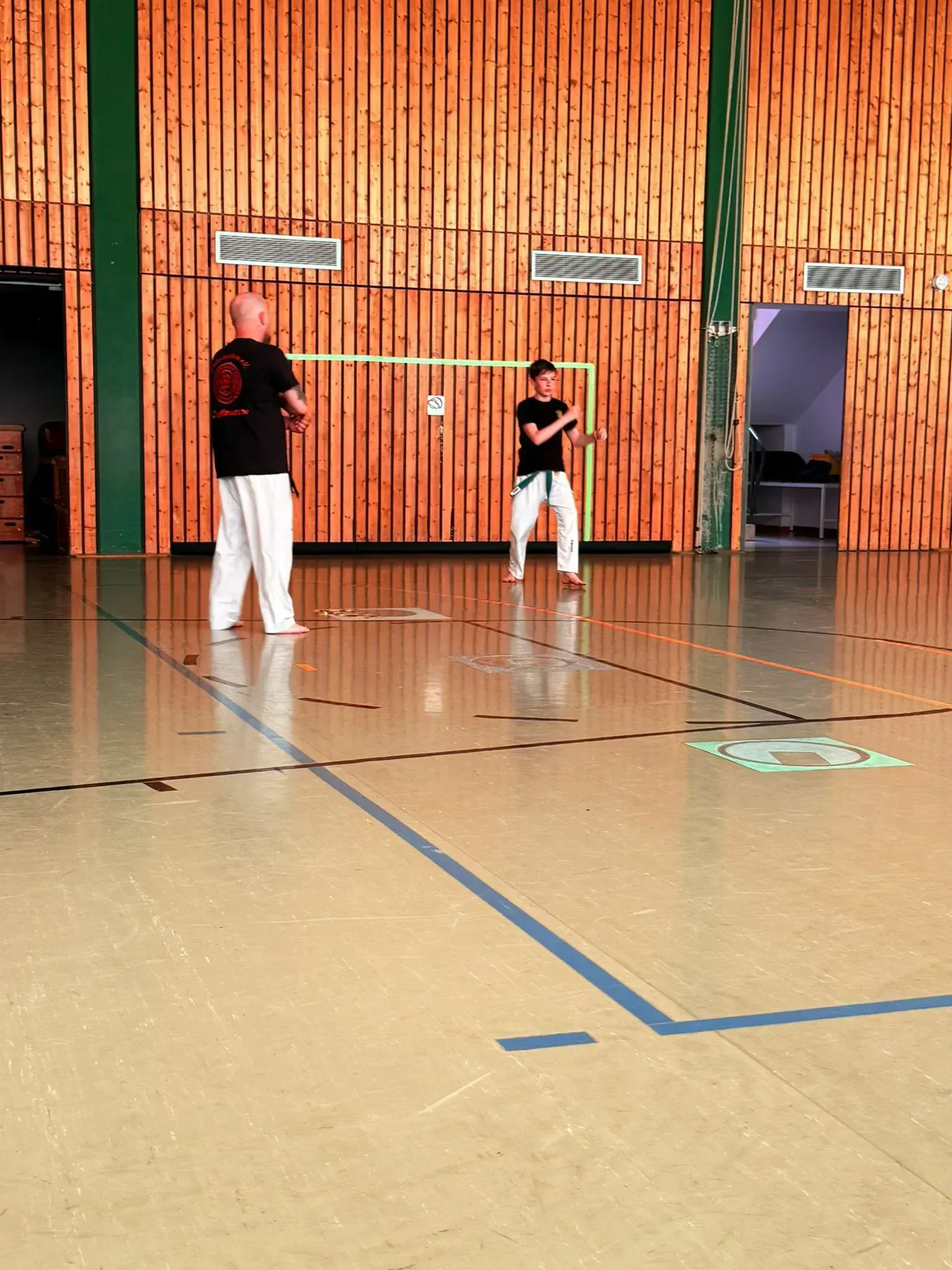 Lehrgang-Taekwondo-Budo-Sechtem-Juni-2025-Bornheim-Bild 4 Lehrgang-Taekwondo-Budo-Sechtem-Juni-2025-Bornheim-Bild 4