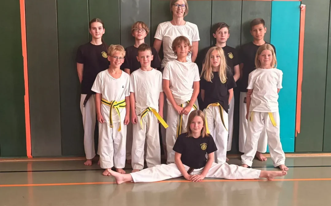 Techniklehrgang Taekwondo am 21.06.2025 – Erfolgreiche Vorbereitung auf die Kup-Prüfung
