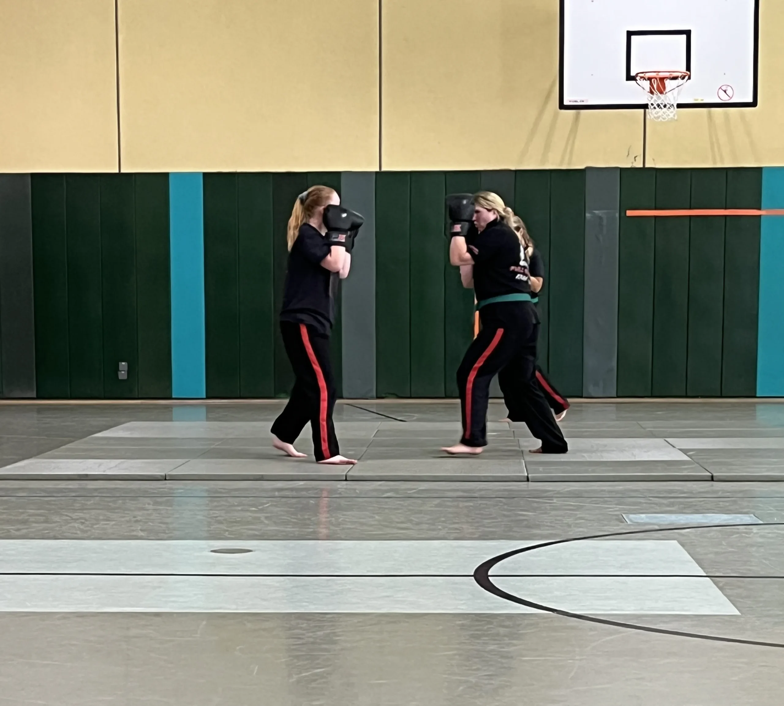 Budo-Sechtem-Bornheim-Krav Maga Prügung-Juli-2025-Bild 3