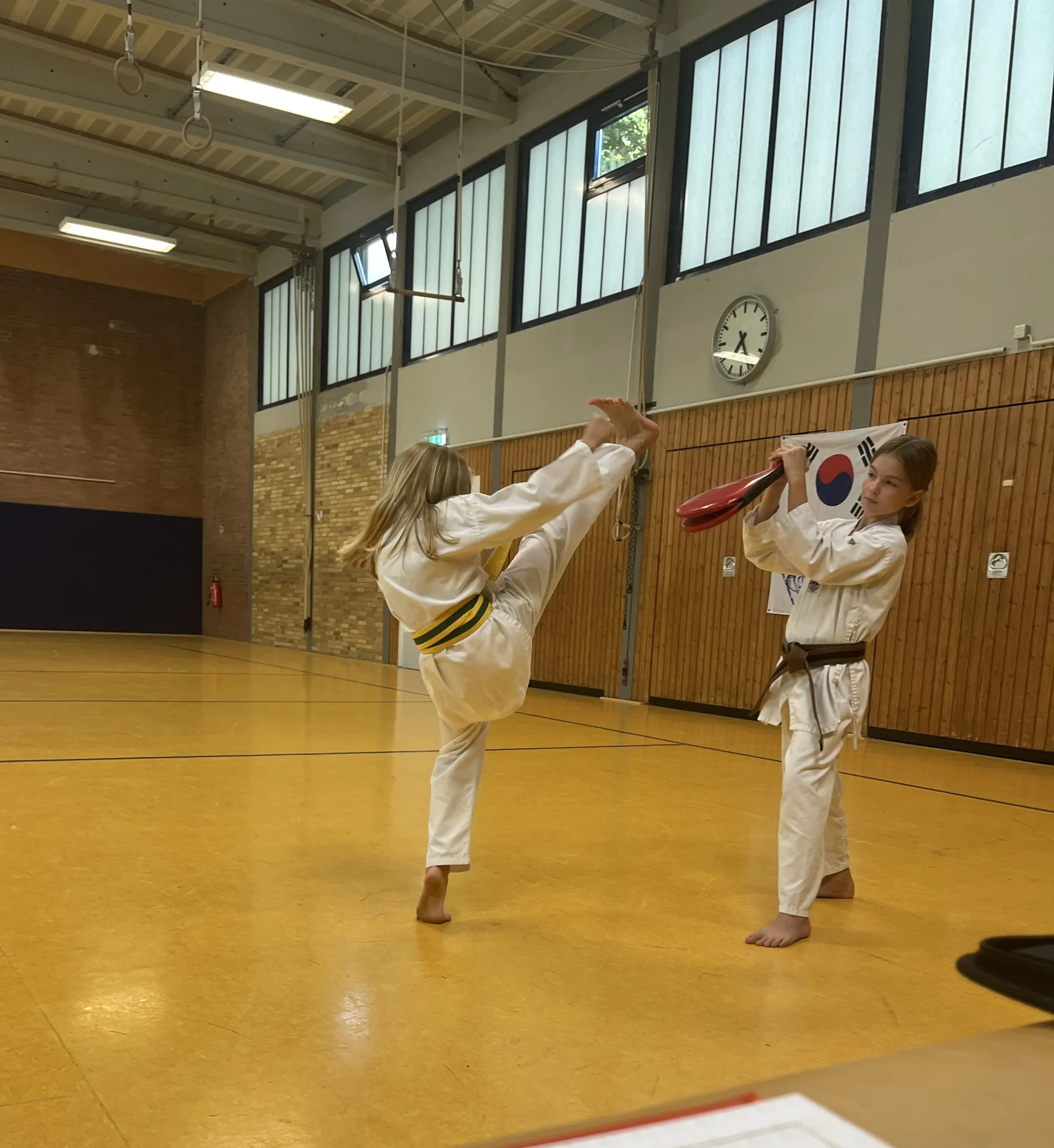 Budo Sechtem-Bornheim-Taekwondo-Prüfung-Junli 2025-Bild3