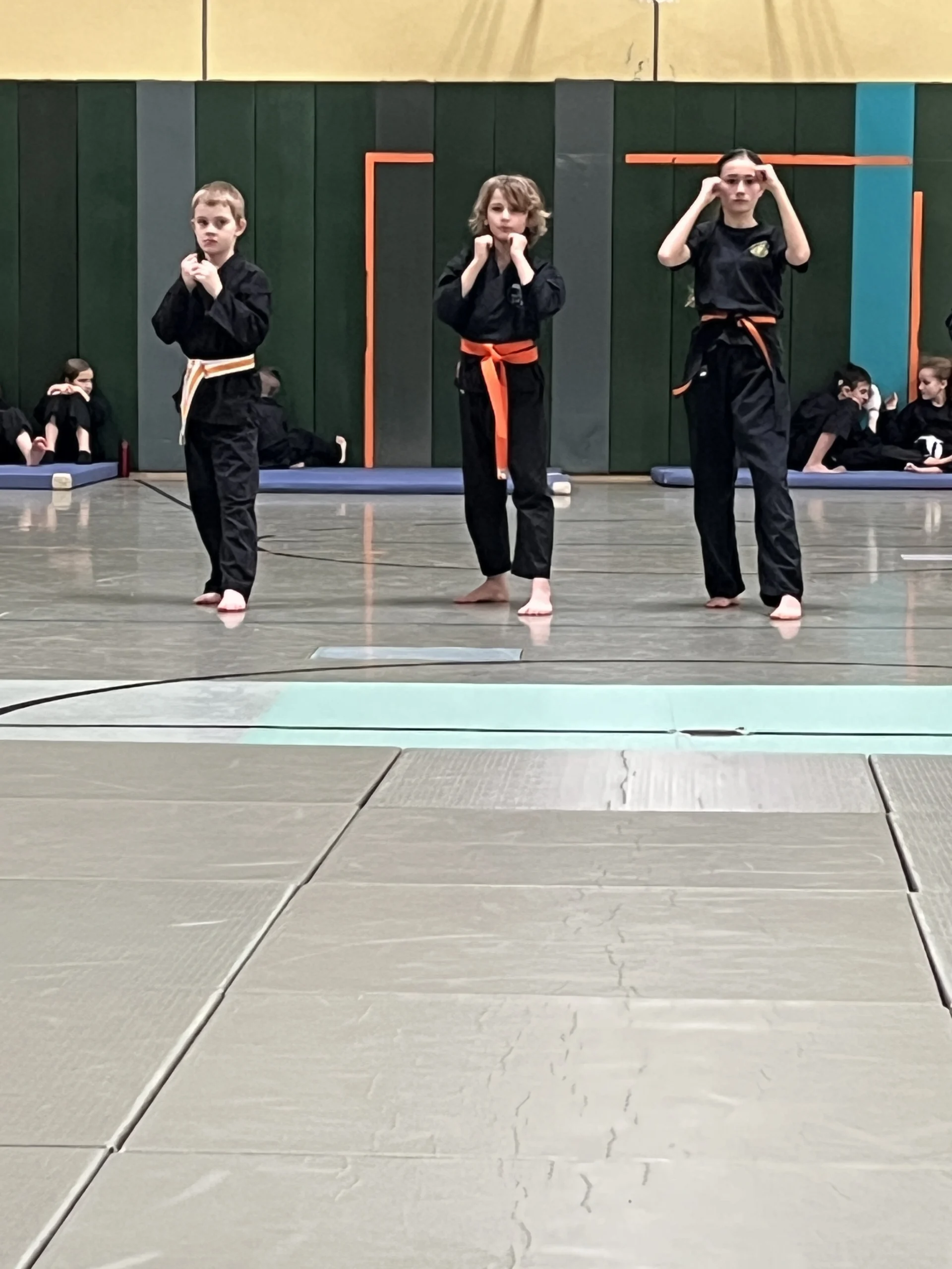 Budo Sechtem-Bornheim-Krav Maga-Prüfung-Dezember- 2025-Bild 4 Budo Sechtem-Bornheim-Krav Maga-Prüfung-Dezember- 2025-Bild 4