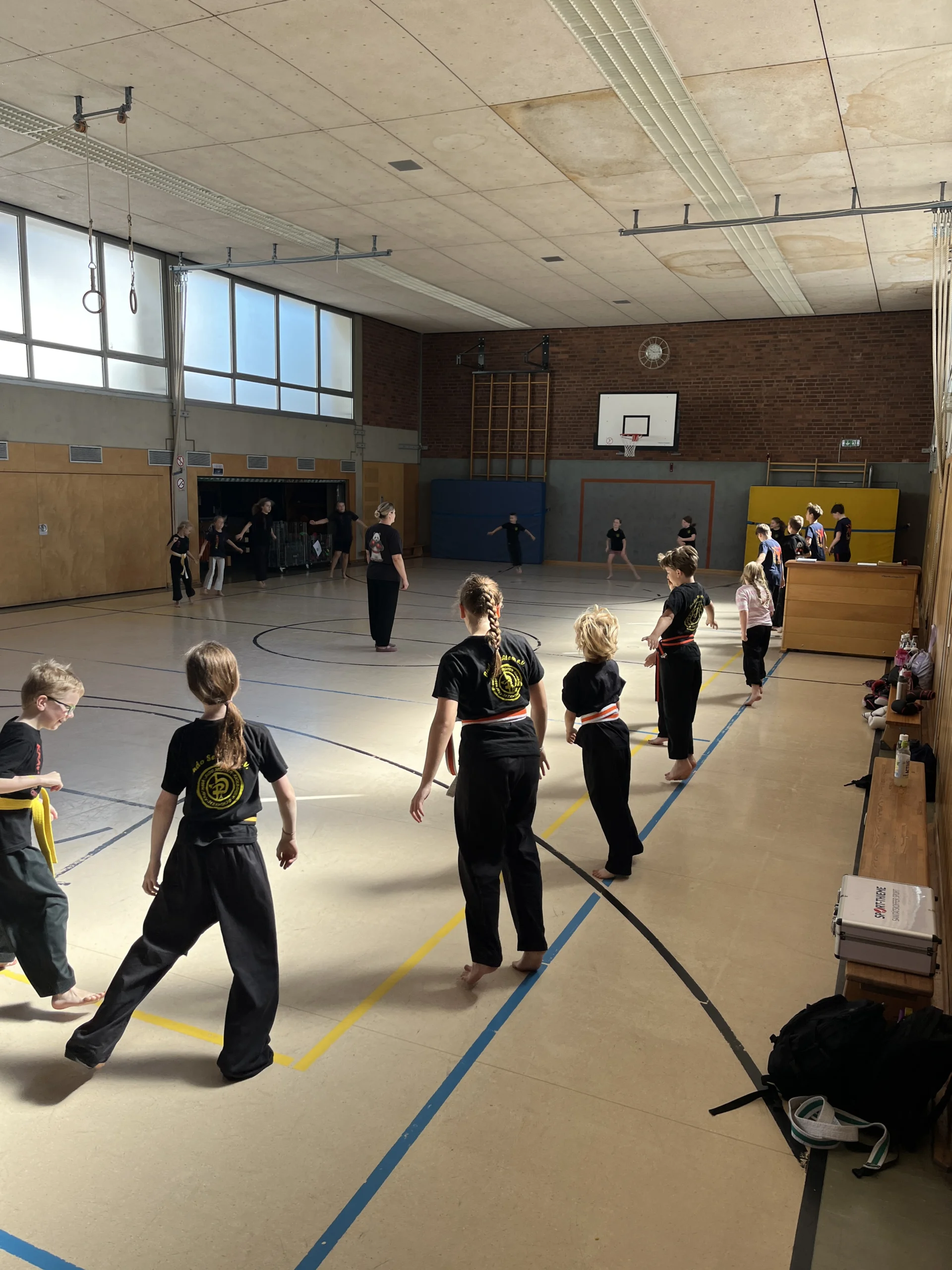 Budo-Sechtem-Bornheim-Prüfungsvorbereitungs-Lehrgang-Kinder-und-Jugendlich-Kickboxen-Krav Maga-Selbstbehauptung-Juni-2026-Bild-3